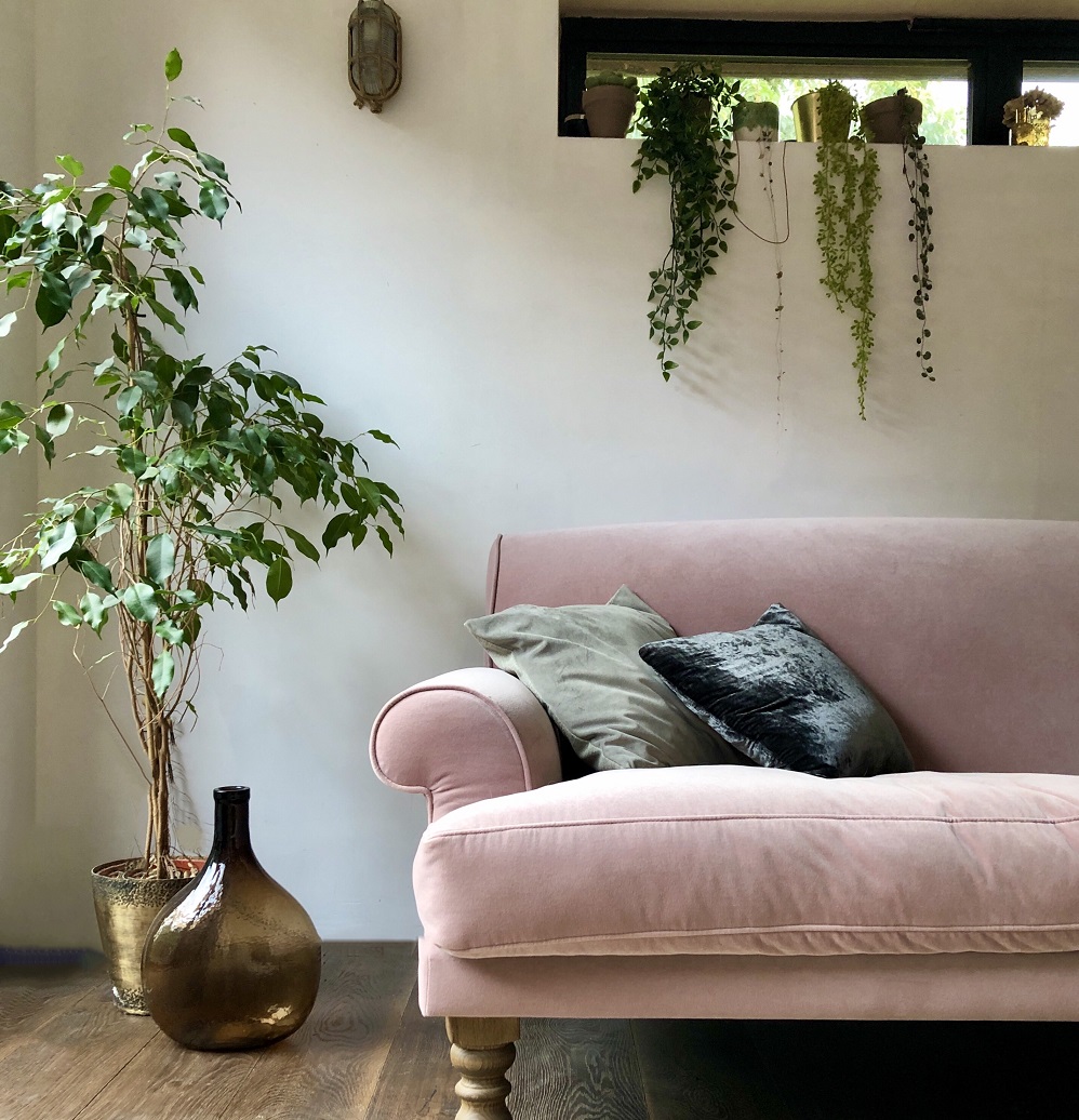 How plants create a happier home – Exclusive advice from Patch Plants-web sait astazh furniture production group