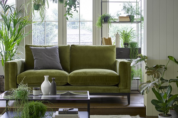 How plants create a happier home – Exclusive advice from Patch Plants-web sait astazh furniture production group