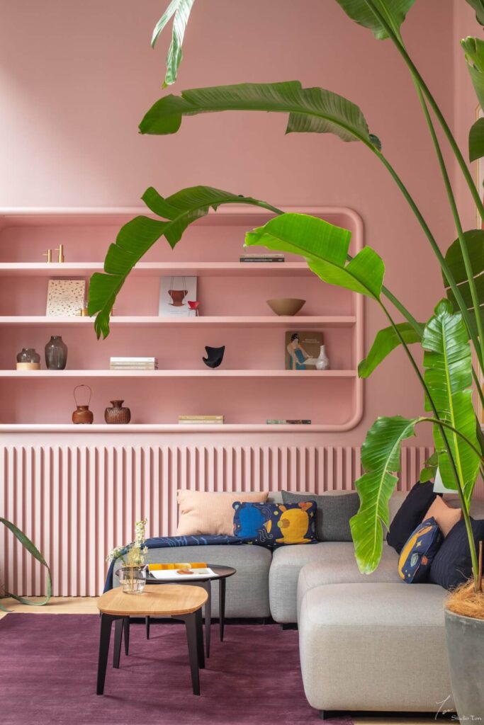 Pink Living Rooms