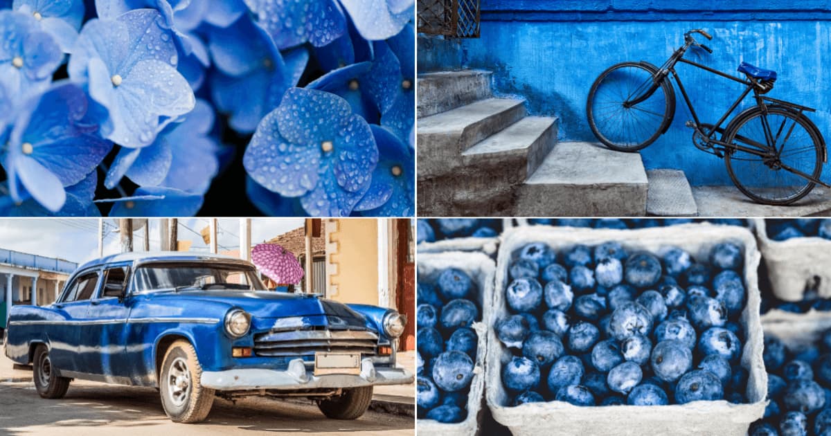 Pantones Colour for 2020 – Classic Blue