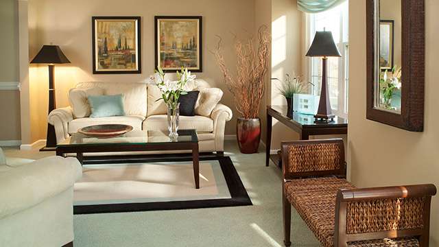 TRANSITIONAL LEATHER FURNITURE IN DALLAS